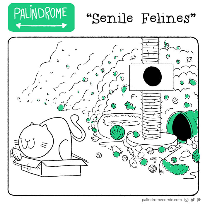 Senile Felines