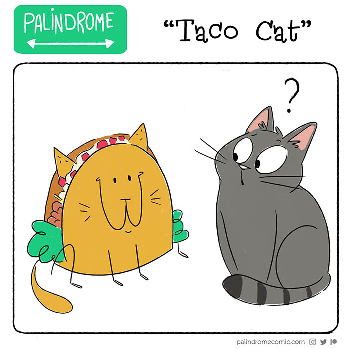 Taco Cat