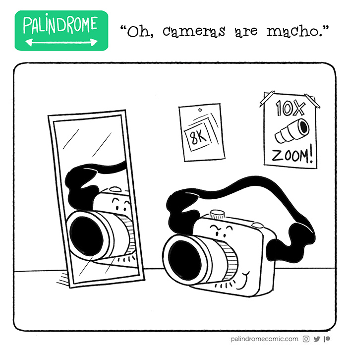 Oh Cameras Are Macho